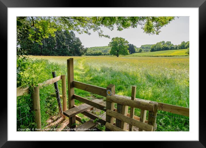 A Country Walk in English Countryside Framed Mounted Print by Pearl Bucknall