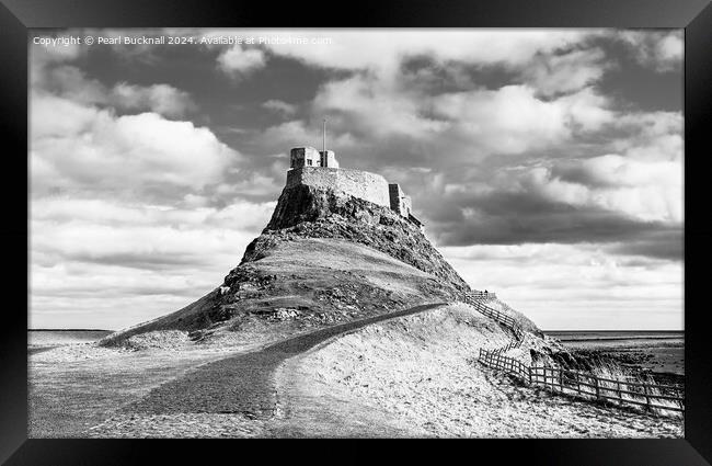 Lindisfarne Castle Holy Island Northumberland  Framed Print by Pearl Bucknall