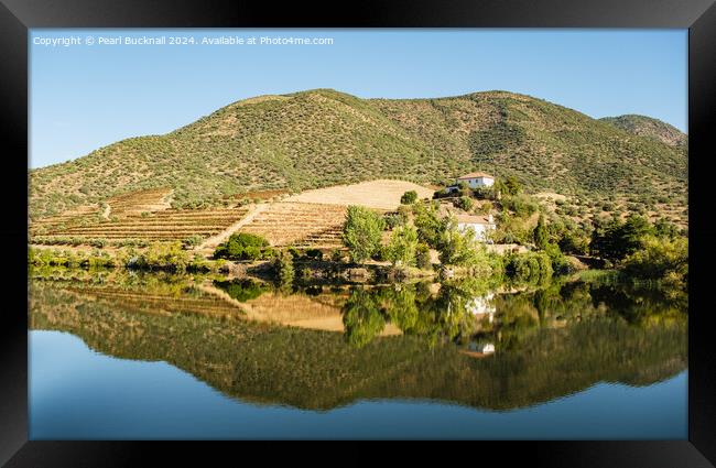Olive groves and vineyards on Douro River Portugal Framed Print by Pearl Bucknall