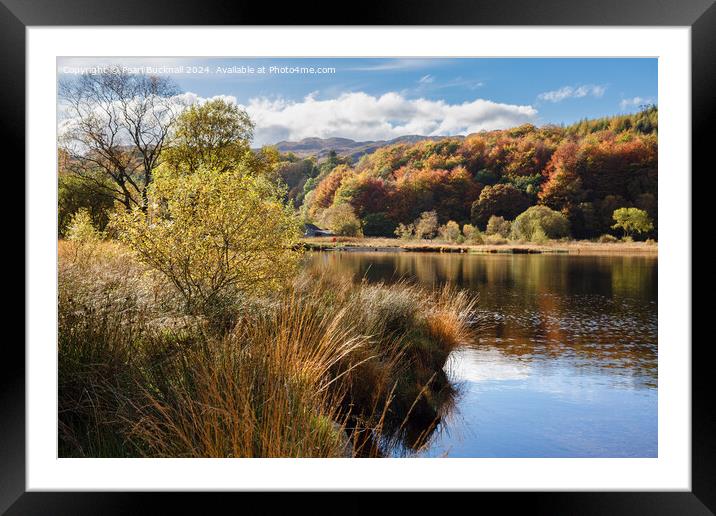 Llyn Geirionydd lake Snowdonia Wales Framed Mounted Print by Pearl Bucknall