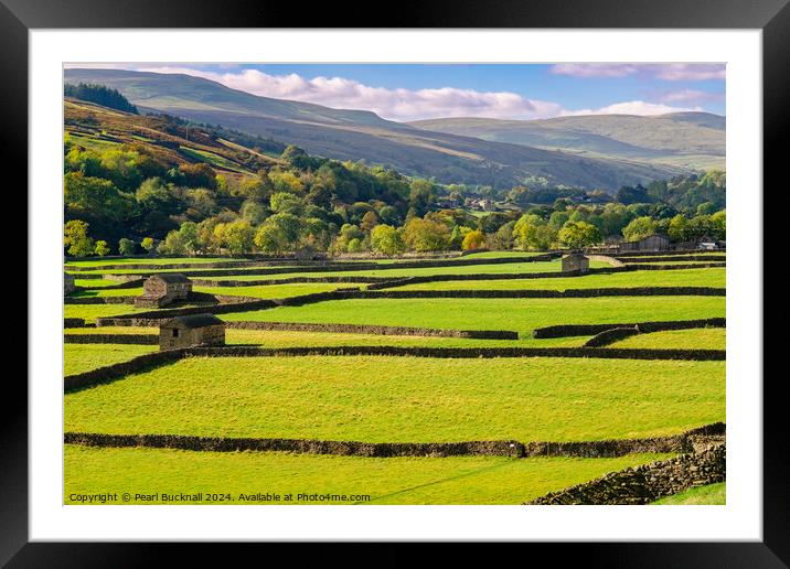 Swaledale Yorkshire Dales English Countryside Framed Mounted Print by Pearl Bucknall