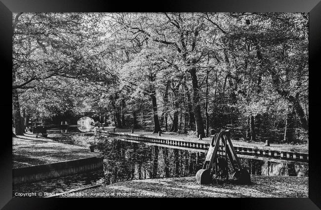 Basingstoke Canal in Surrey monochrome Framed Print by Pearl Bucknall