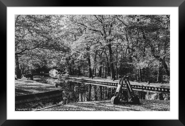 Basingstoke Canal in Surrey monochrome Framed Mounted Print by Pearl Bucknall