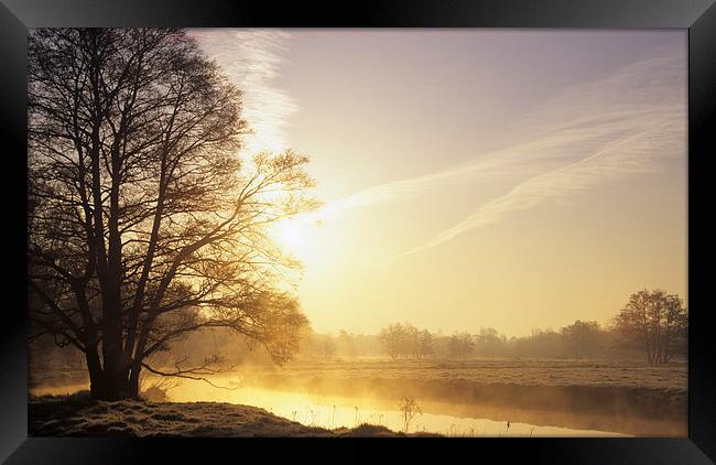 River Wey Misty Morning at Thundry Meadows Framed Print by Pearl Bucknall