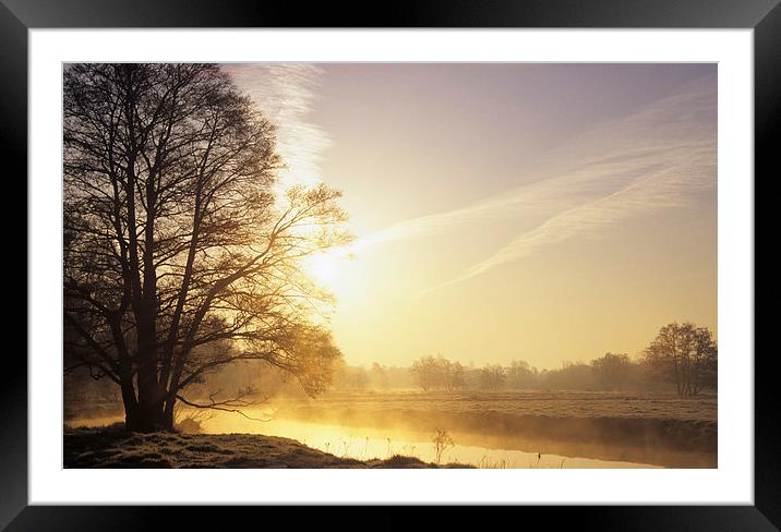 River Wey Misty Morning at Thundry Meadows Framed Mounted Print by Pearl Bucknall