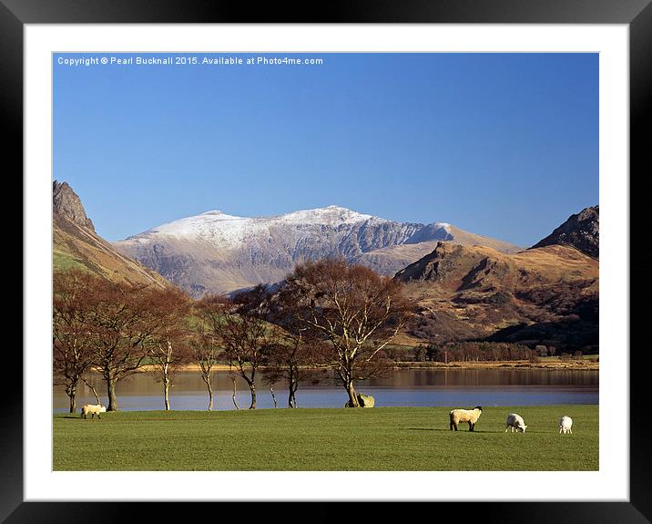 Mount Snowdon from Nantlle Snowdonia Framed Mounted Print by Pearl Bucknall