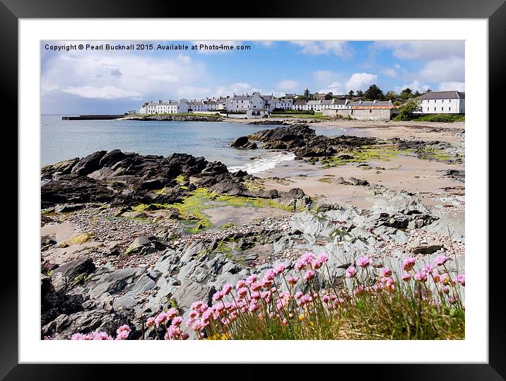 Sea Pinks on the Coast in Port Charlotte Islay Framed Mounted Print by Pearl Bucknall