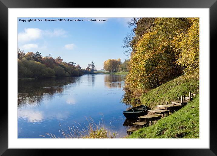 River Tweed in Autumn Scottish Borders Scotland Framed Mounted Print by Pearl Bucknall