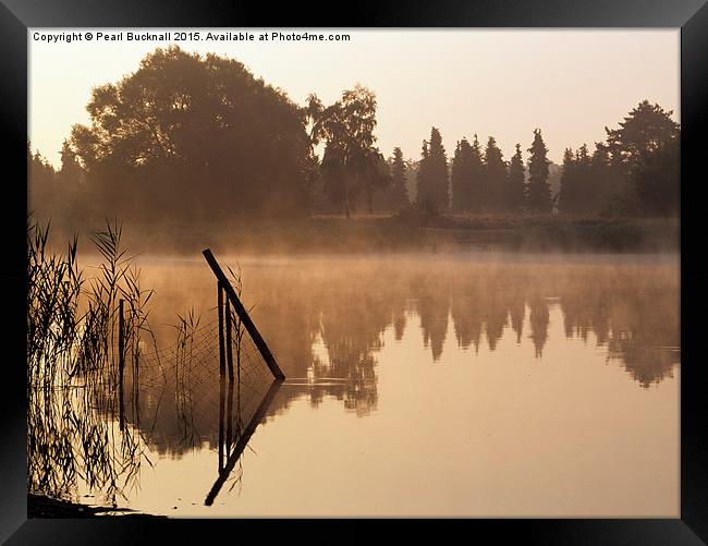 Frensham Little Pond at Sunrise Framed Print by Pearl Bucknall
