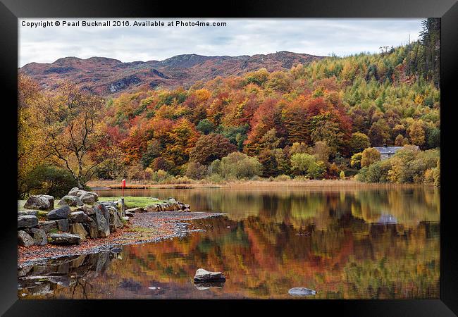  Llyn Geirionydd Lake in Autumn Framed Print by Pearl Bucknall