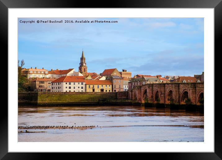 Berwick-upon-Tweed Across the River Framed Mounted Print by Pearl Bucknall