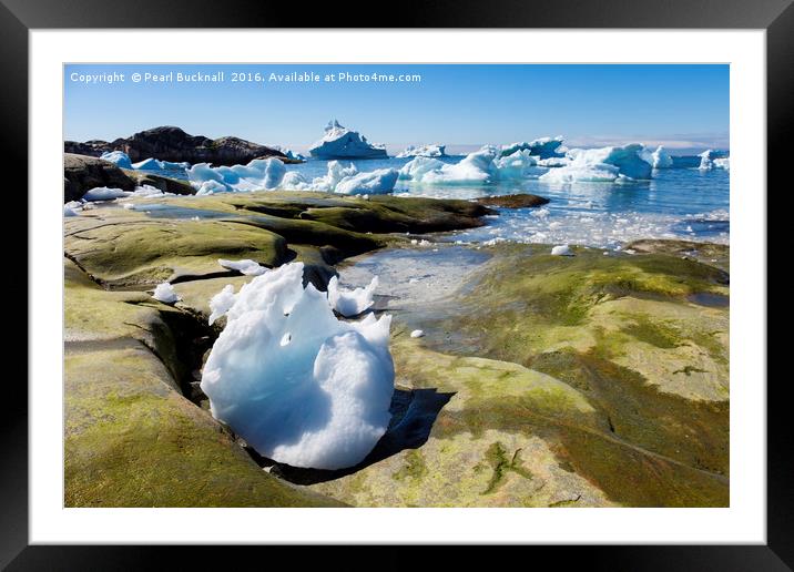 Ice and Icebergs Greenland Framed Mounted Print by Pearl Bucknall