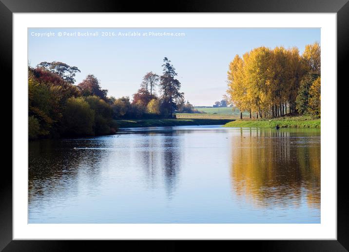 Tranquil Tweed Autumn Reflections  Framed Mounted Print by Pearl Bucknall