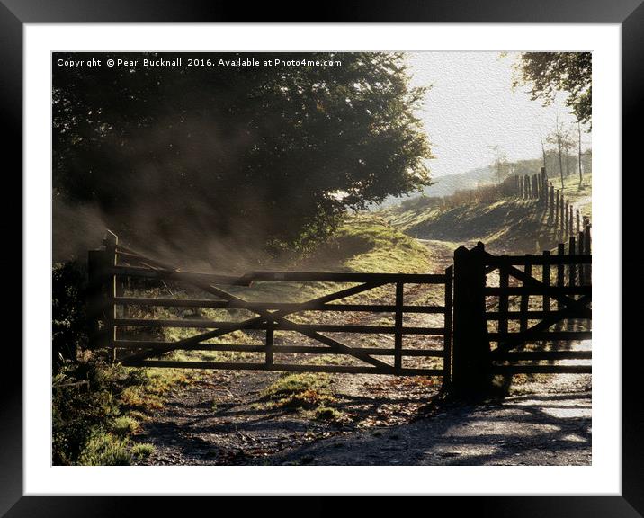 Five Bar Farm Gate Framed Mounted Print by Pearl Bucknall