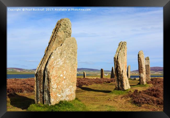 Ring of Brodgar Orkney Standing Stones Scotland Framed Print by Pearl Bucknall