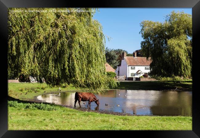 Picturesque Nun Monkton Village Yorkshire Framed Print by Pearl Bucknall