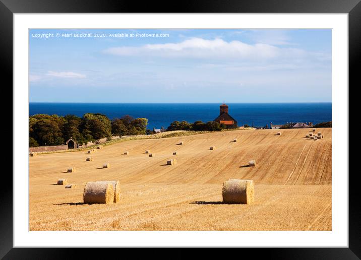 St Abbs Harvest Farming in Scotland Framed Mounted Print by Pearl Bucknall