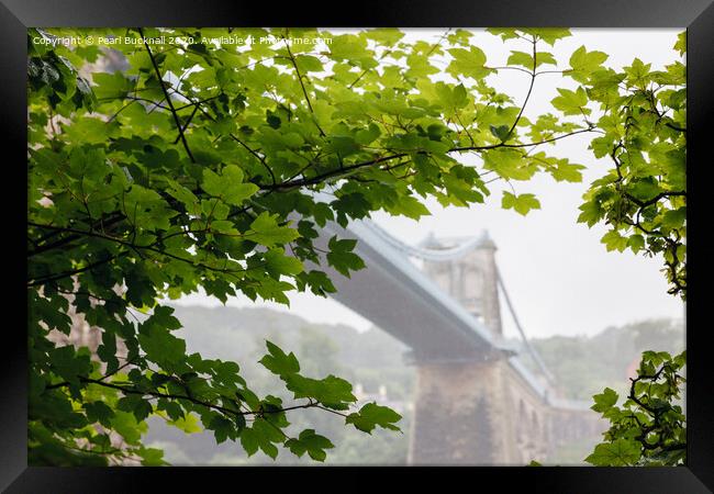 Misty Menai Bridge Through Leaves Framed Print by Pearl Bucknall