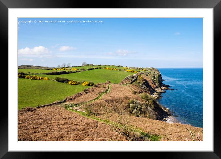 Anglesey Coastal Path near Benllech Framed Mounted Print by Pearl Bucknall