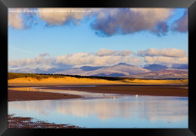 Newborough Forest meets the Beach in Anglesey Framed Print by Pearl Bucknall