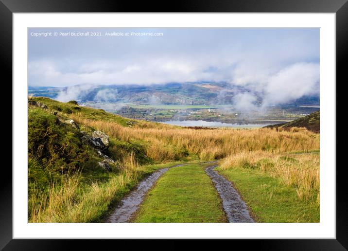 Rhinogs Country Track Framed Mounted Print by Pearl Bucknall
