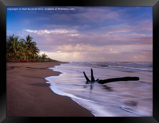 Tortuguero Beach at Sunrise Costa Rica Framed Print by Pearl Bucknall