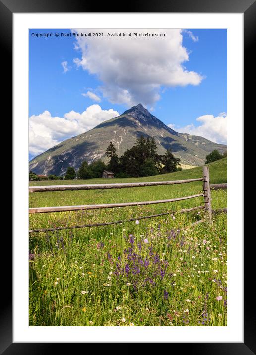 Summer Meadow and a Mountain Framed Mounted Print by Pearl Bucknall