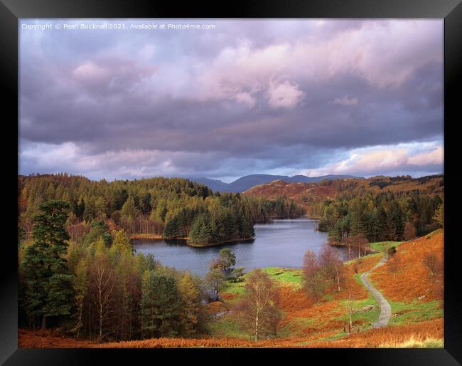 Lake District Tarn Hows in Autumn Framed Print by Pearl Bucknall
