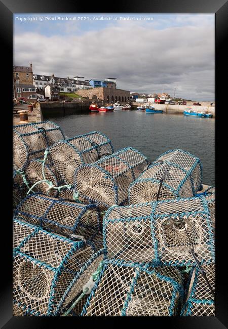 Seahouses Harbour Lobster Pots Northumberland  Framed Print by Pearl Bucknall