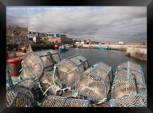 Lobster Pots in Seahouses Harbour Northumberland Framed Print by Pearl Bucknall