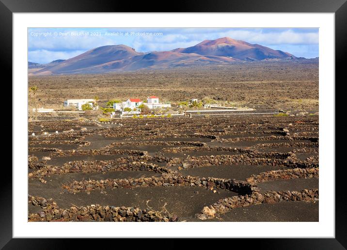 Vineyards of Lanzarote in Volcanic Landscape Framed Mounted Print by Pearl Bucknall