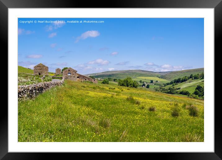 Barns and Meadow in Yorkshire Dales Countryside Framed Mounted Print by Pearl Bucknall