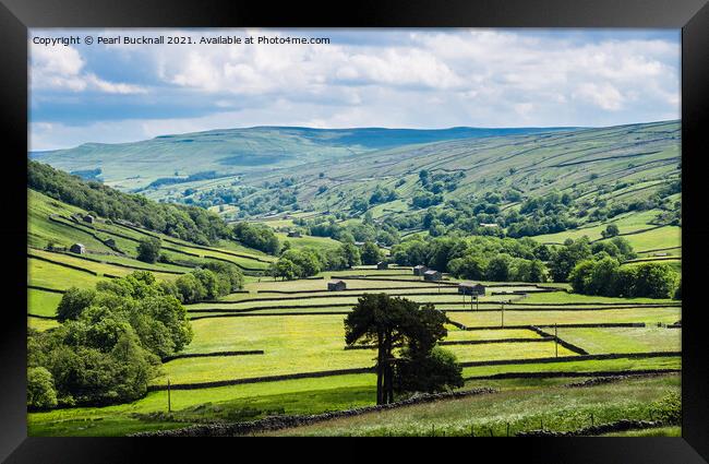 Barns and Walls in Upper Swaledale Yorkshire Dales Framed Print by Pearl Bucknall