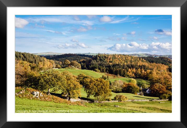 Snowdonia Countryside in Autumn  Framed Mounted Print by Pearl Bucknall