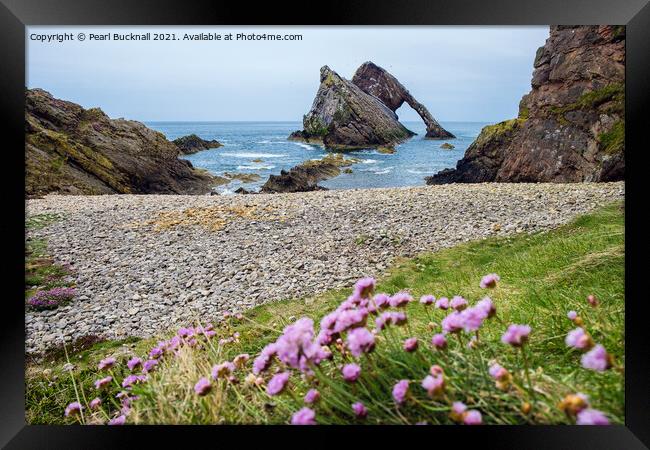 Bow Fiddle Rock and Sea Pink Framed Print by Pearl Bucknall