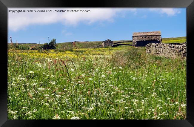 Wildflower Meadow in Yorkshire Dales Countryside Framed Print by Pearl Bucknall