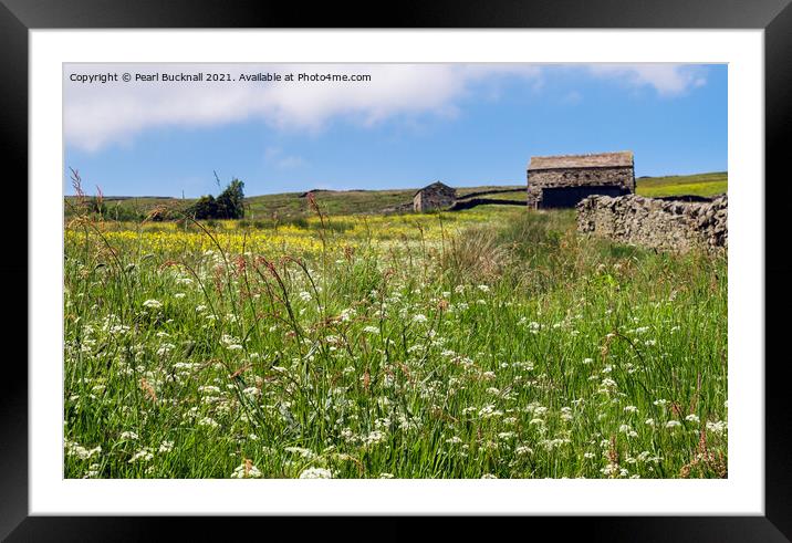 Wildflower Meadow in Yorkshire Dales Countryside Framed Mounted Print by Pearl Bucknall
