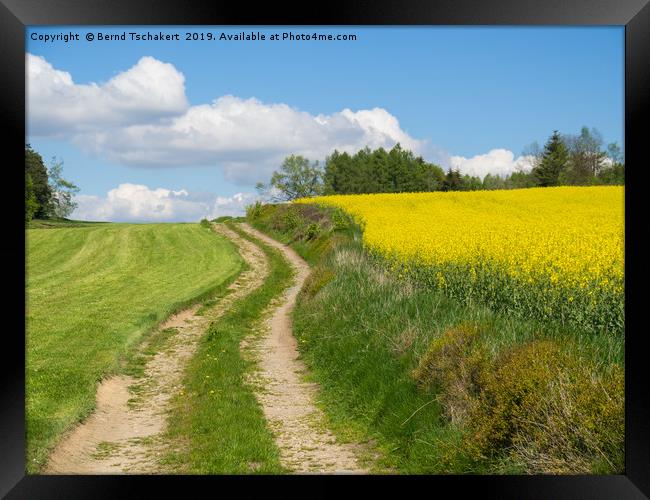 Farm track, oilseed rape field, Austria Framed Print by Bernd Tschakert