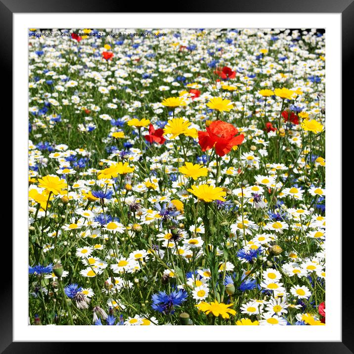 Wild flower meadow  Framed Mounted Print by Kevin Britland