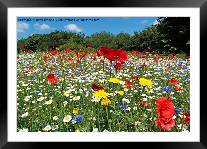 wild flowers Framed Mounted Print by Kevin Britland