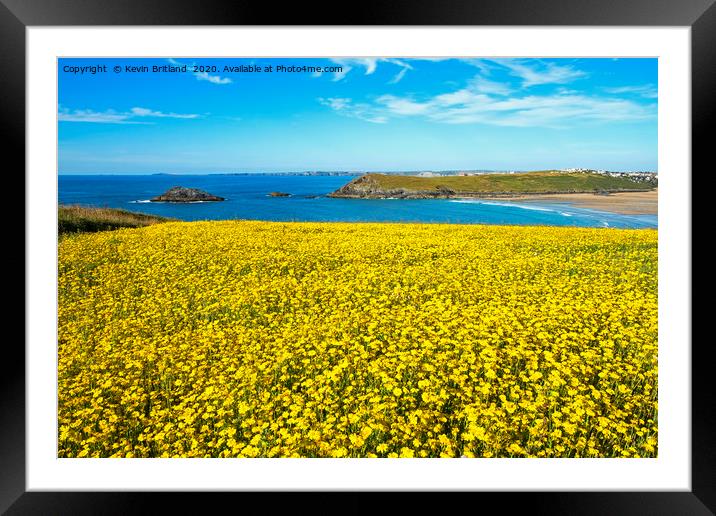 wild flowers cornwall Framed Mounted Print by Kevin Britland