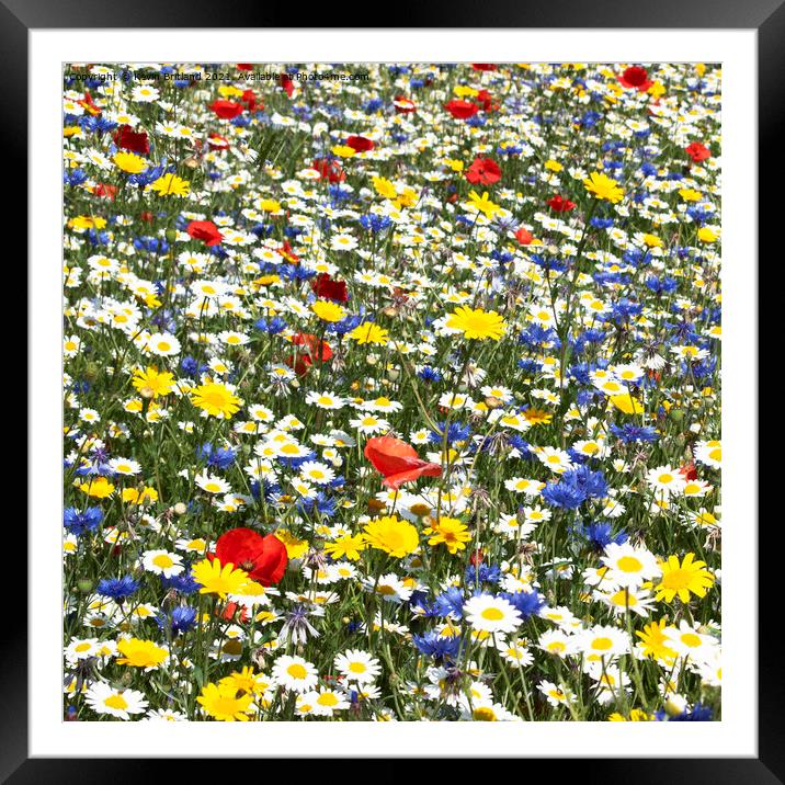wildflower meadow Framed Mounted Print by Kevin Britland