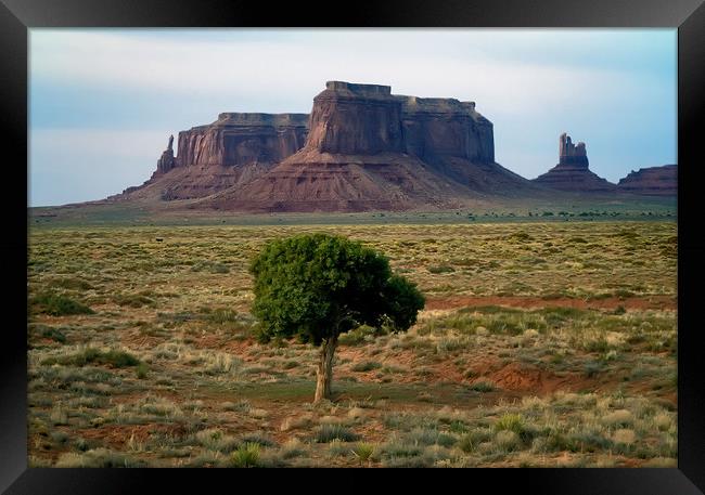 Tree in Monument Valley Framed Print by Luc Novovitch