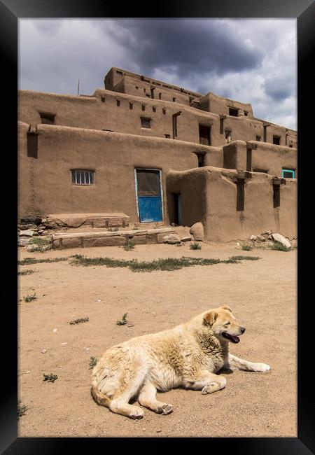 Dog in Taos Pueblo, New Mexico Framed Print by Luc Novovitch