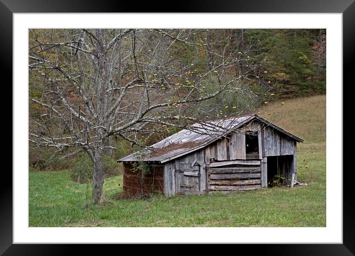 Tennessee Old Barn Framed Mounted Print by Luc Novovitch