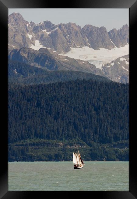 Sailing in Resurrection Bay Framed Print by Luc Novovitch