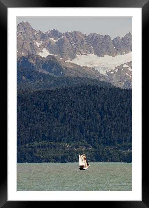 Sailing in Resurrection Bay Framed Mounted Print by Luc Novovitch
