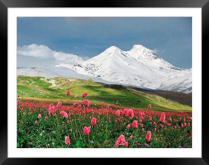 Switzerland mountains on spring time Framed Mounted Print by Daniel Kesh