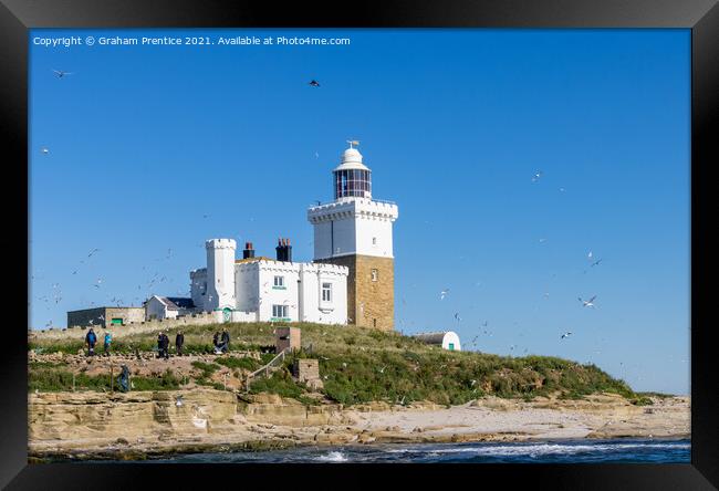 Coquet Lighthouse, Amble, Northumberland Framed Print by Graham Prentice
