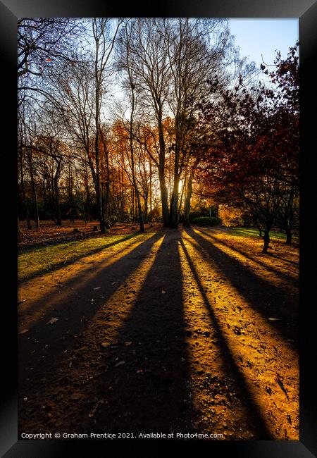 Setting Sun Through Trees Framed Print by Graham Prentice